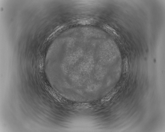 X0000085821158200704091625