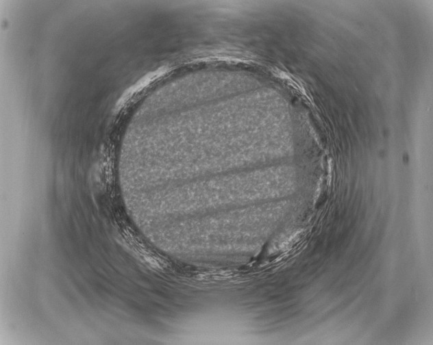 X0000085821159200704091625