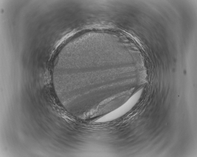 X0000085821160200704091625