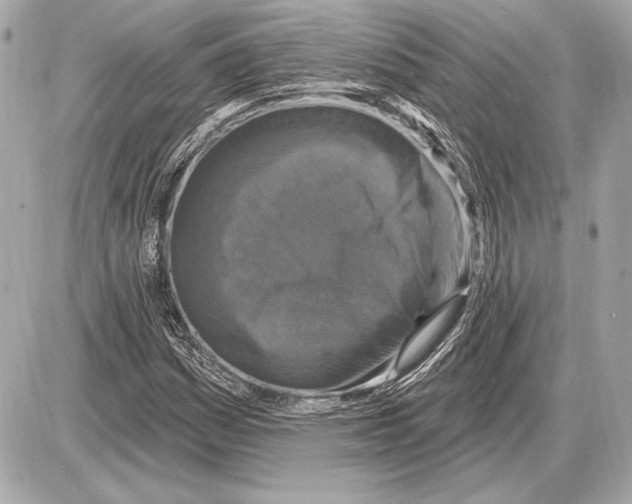 X0000085821161200704091625