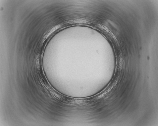 X0000085821162200704091625