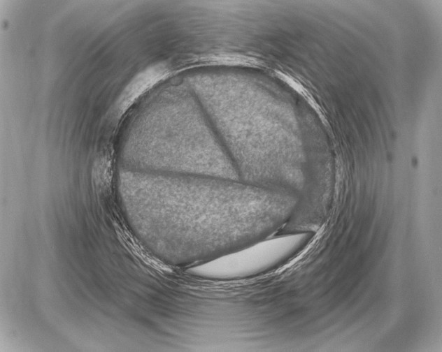 X0000085821163200704091625