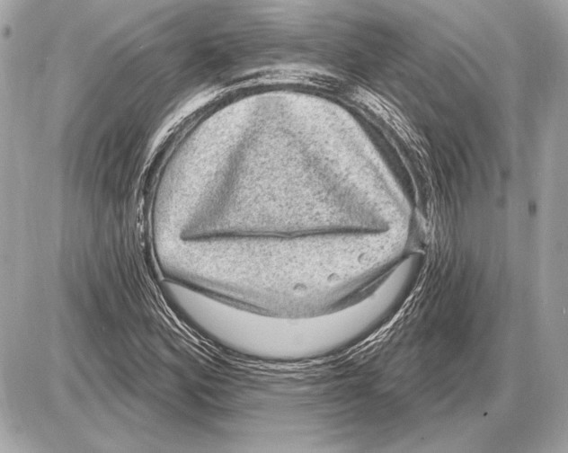 X0000085821164200704091625