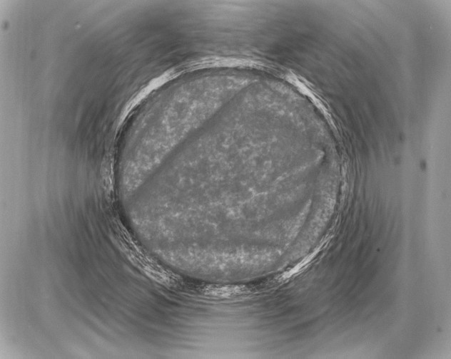 X0000085821165200704091625