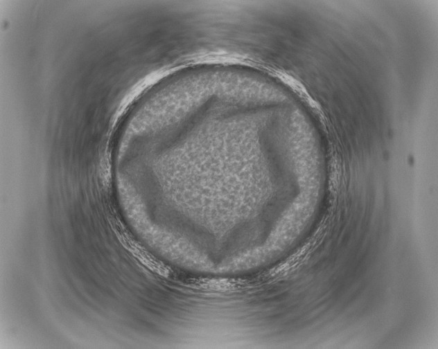 X0000085821167200704091625