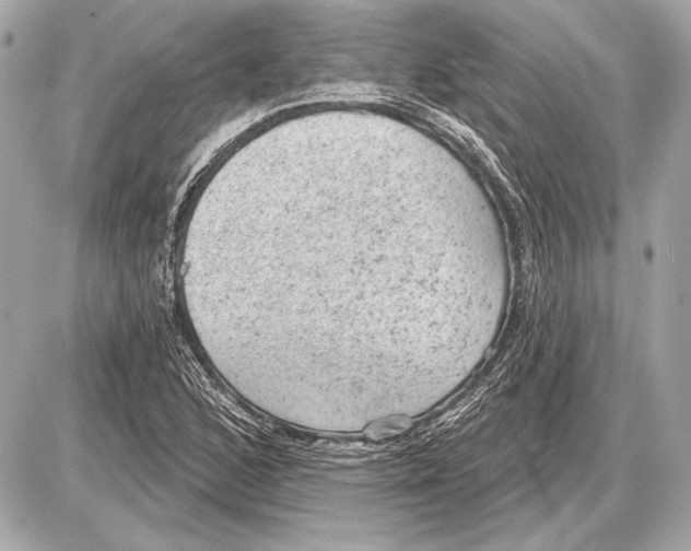 X0000085821168200704091625