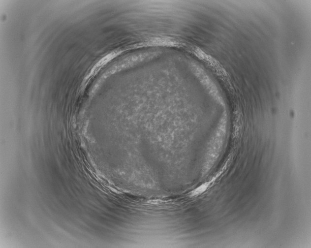 X0000085821169200704091625