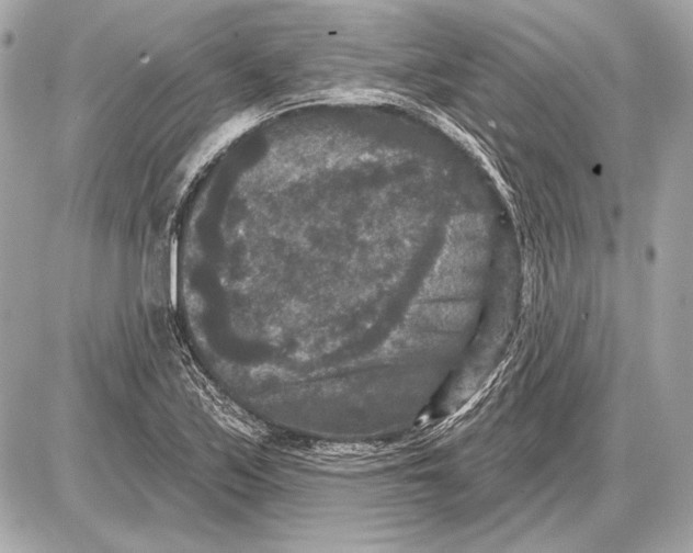 X0000085821171200704091624