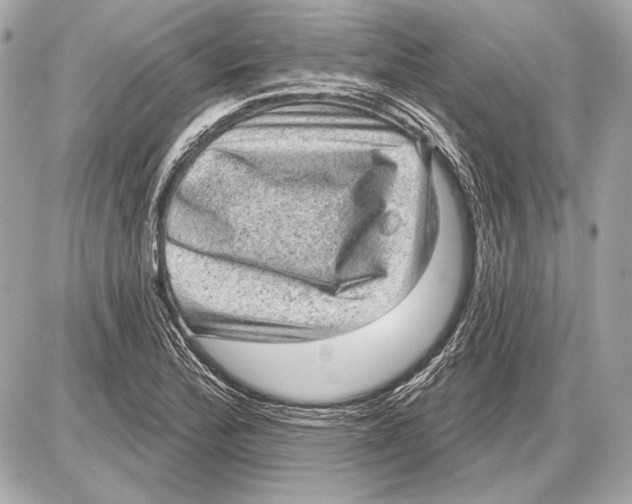 X0000085821172200704091624