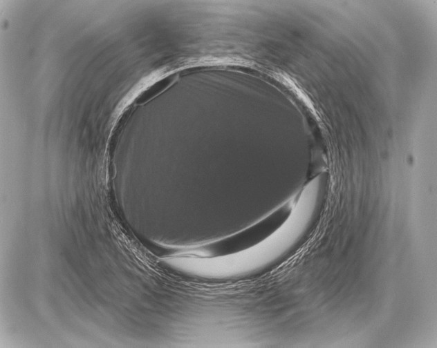 X0000085821173200704091624