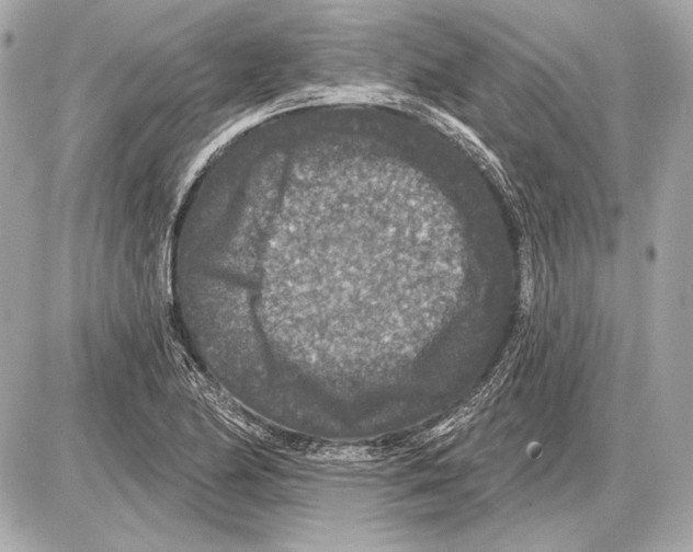 X0000085821174200704091624