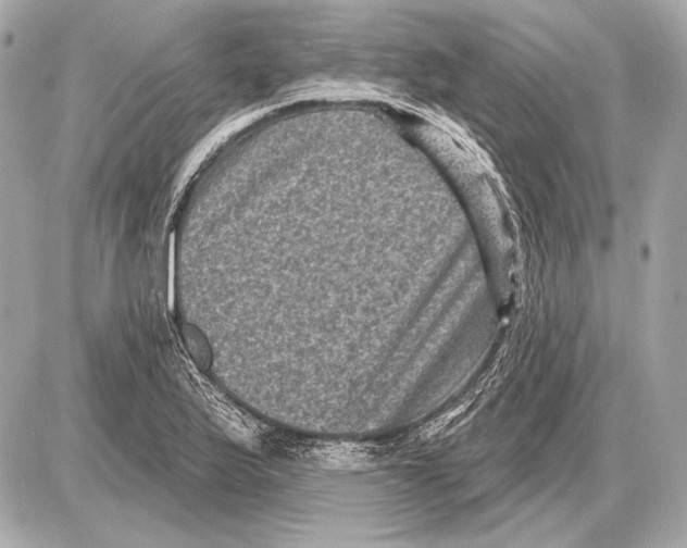 X0000085821175200704091624