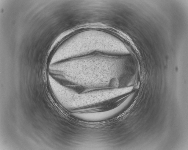 X0000085821176200704091624