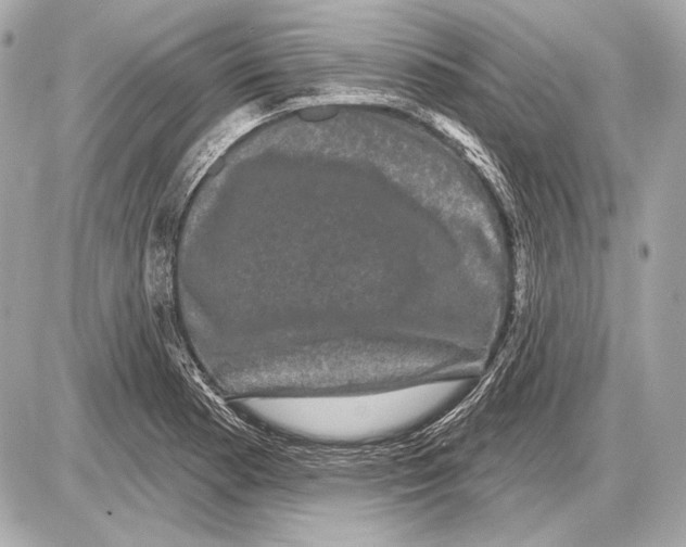 X0000085821177200704091624