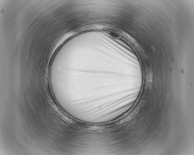 X0000085821178200704091624