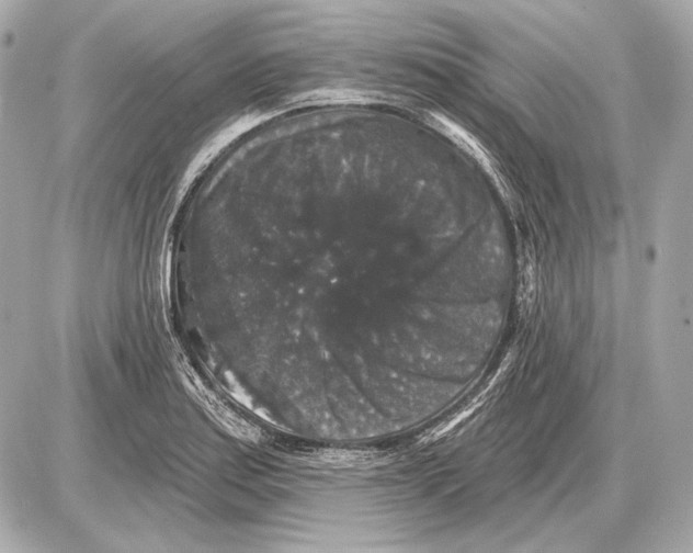 X0000085821179200704091624