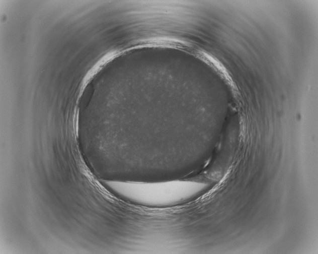 X0000085821180200704091624