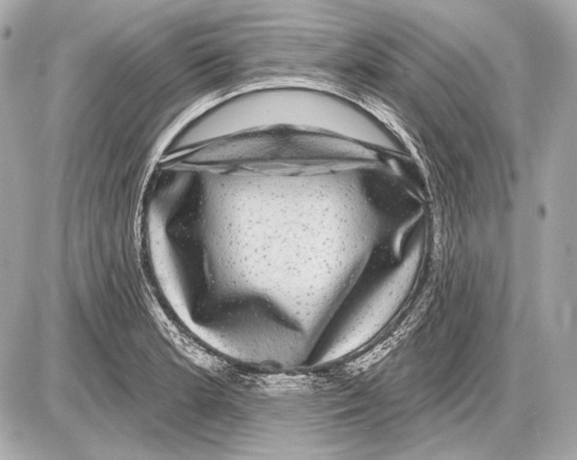 X0000085821181200704091624