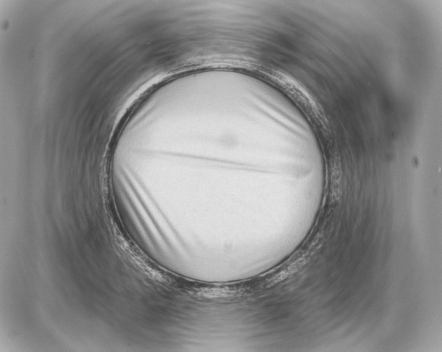 X0000085821182200704091624