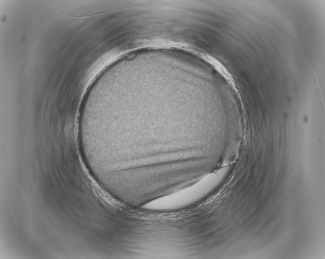 X0000085821183200704091624