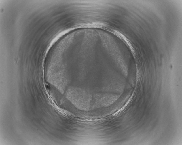 X0000085821184200704091624