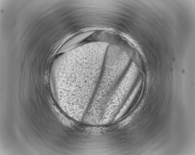 X0000085821185200704091624