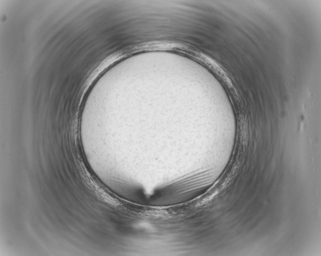 X0000085821186200704091624