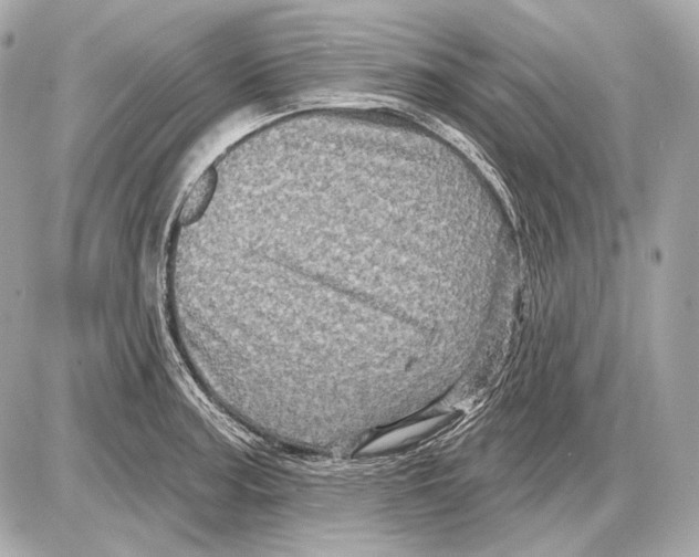 X0000085821187200704091624