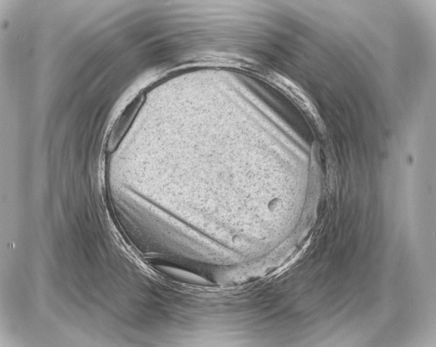 X0000085821188200704091624