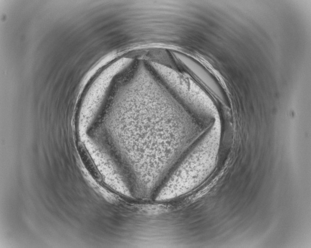 X0000085821189200704091624