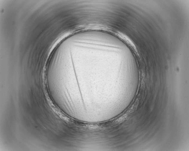 X0000085821190200704091624