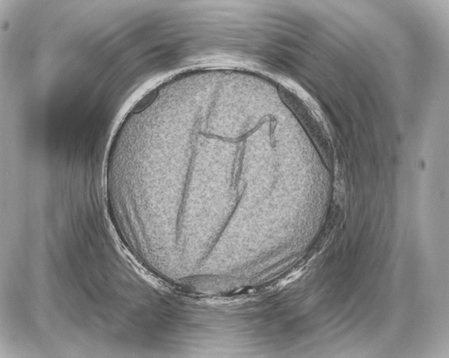 X0000085821191200704091624