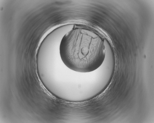 X0000085821192200704091624