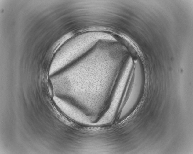 X0000085821193200704091624