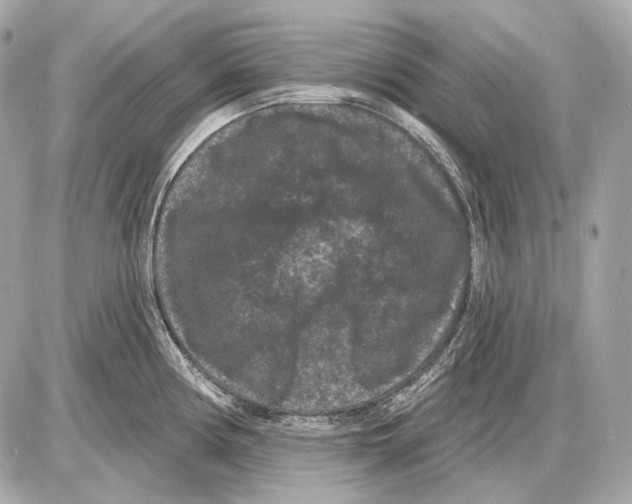 X0000085821194200704091624