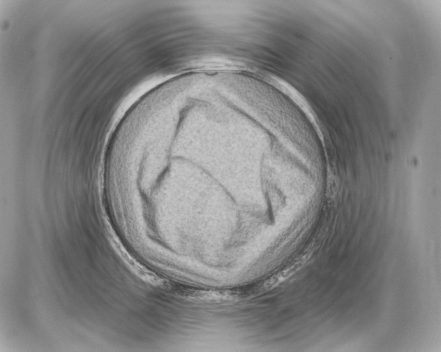 X0000085821195200704091624