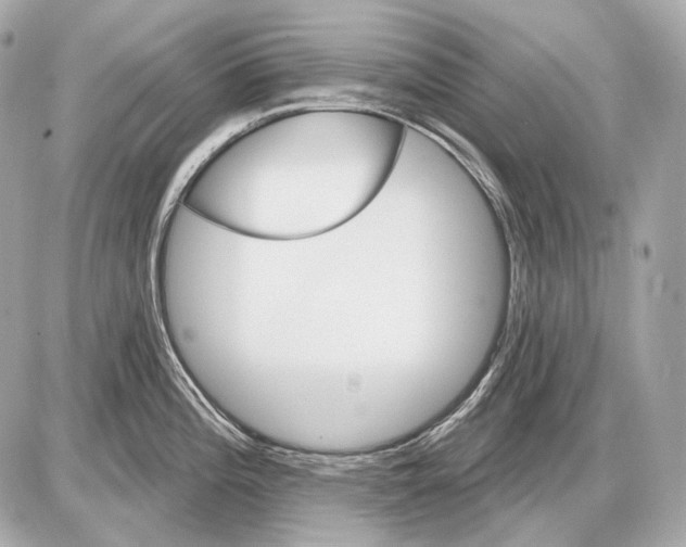 X0000085821196200704091624