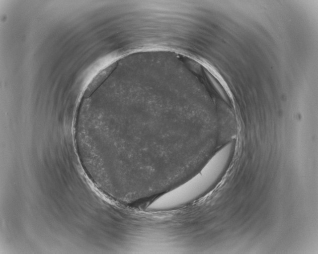 X0000085821197200704091624