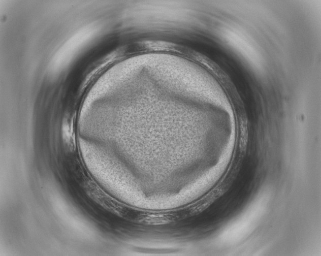 X0000085821198200704091624