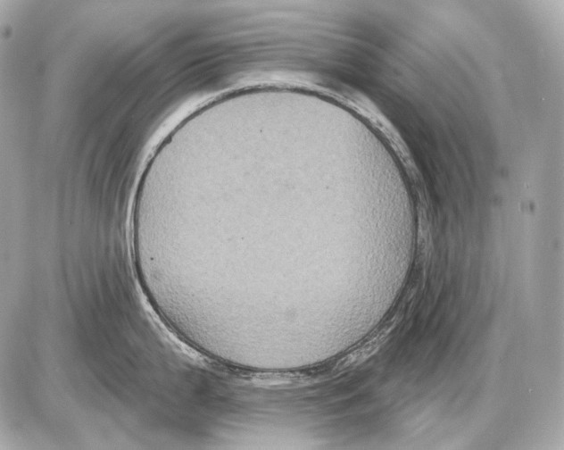 X0000085821199200704091624