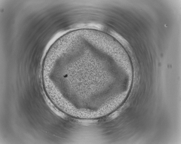 X0000085821200200704091624