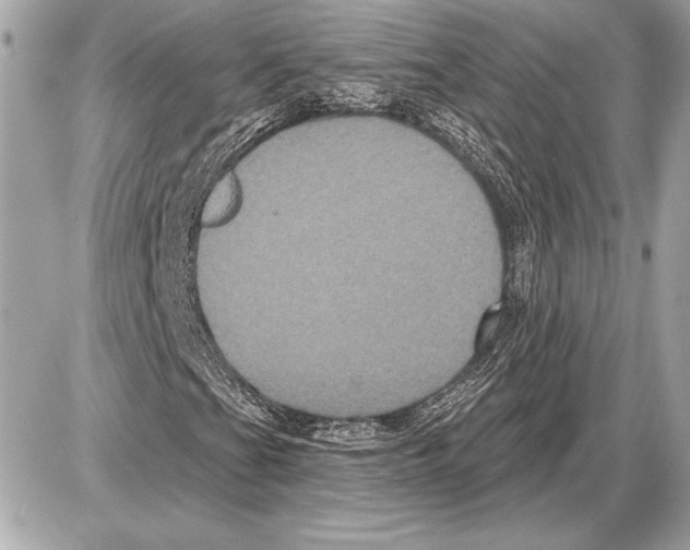 X0000085821201200704091623