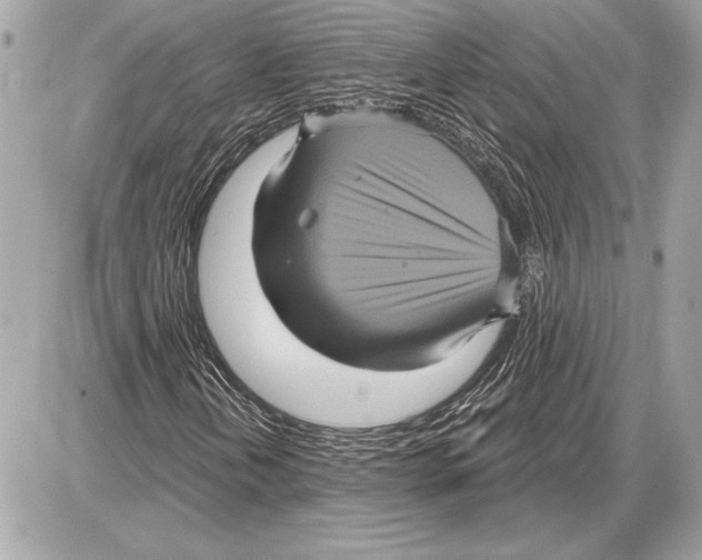 X0000085821202200704091623