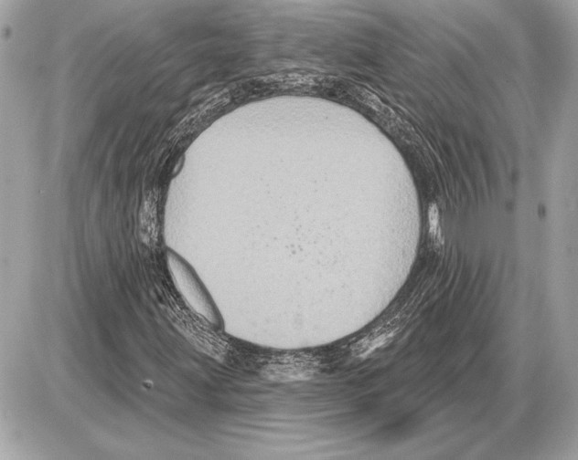 X0000085821203200704091623