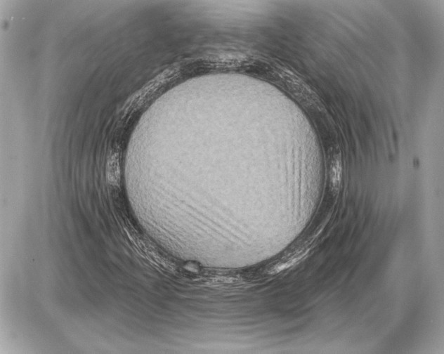 X0000085821204200704091623