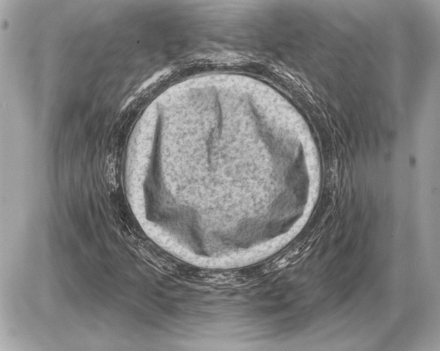 X0000085821205200704091623