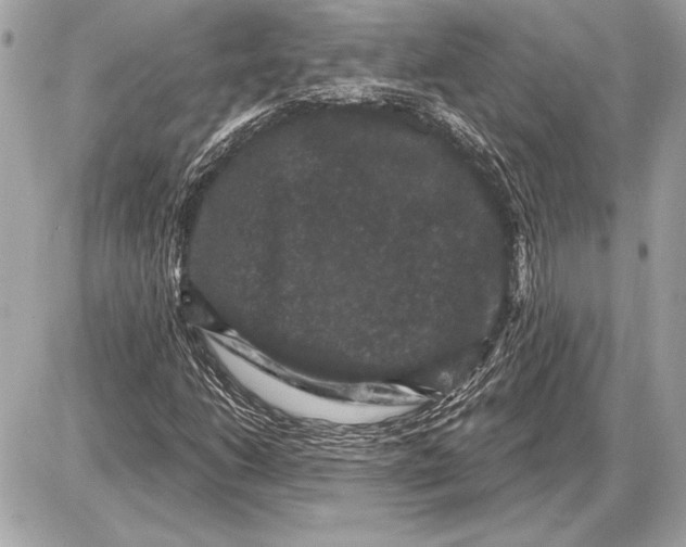 X0000085821206200704091623