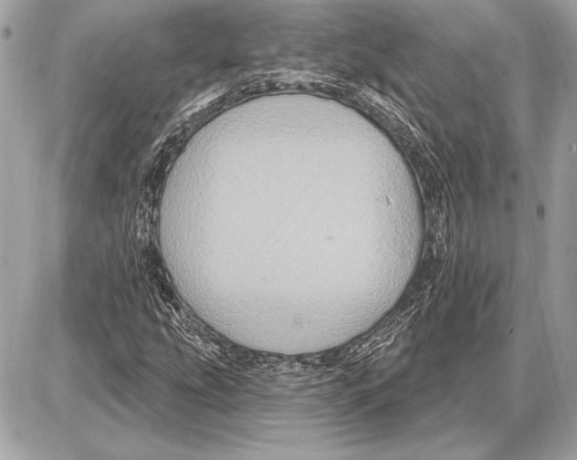 X0000085821207200704091623