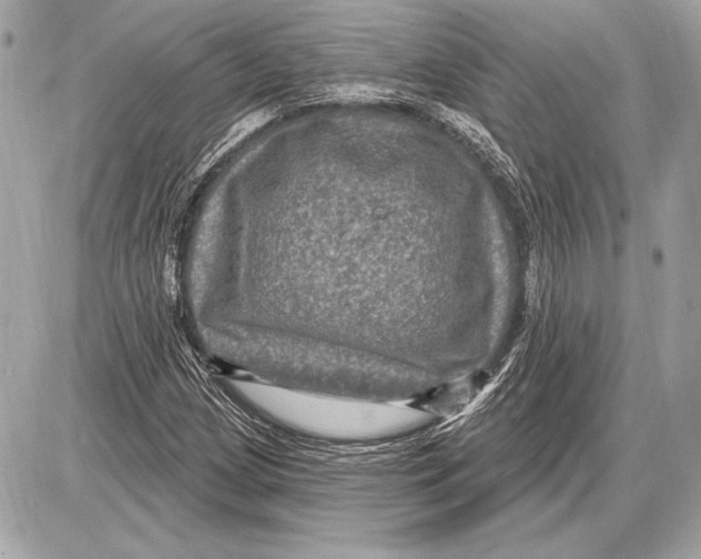 X0000085821209200704091623