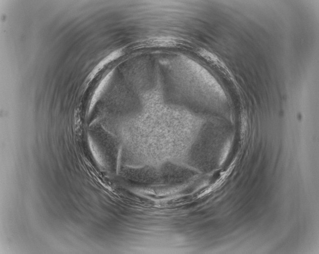 X0000085821210200704091623